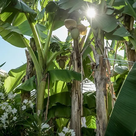 Maison Agreable Et Tranquille Vakantiehuis Gujan-Mestras